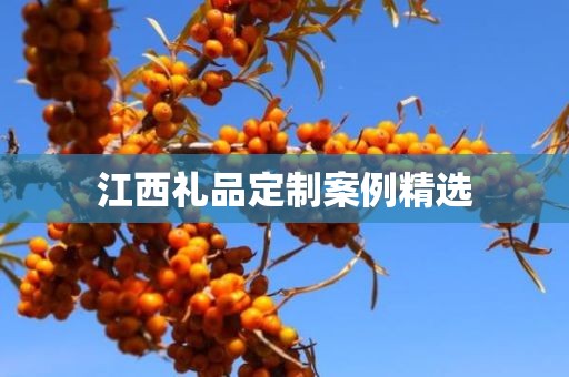 江西礼品定制案例精选