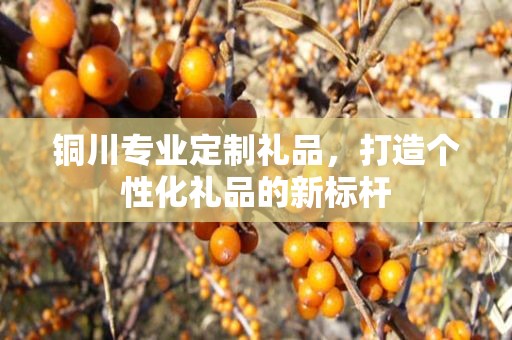 铜川专业定制礼品，打造个性化礼品的新标杆