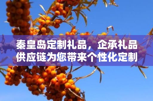 秦皇岛定制礼品，企承礼品供应链为您带来个性化定制体验