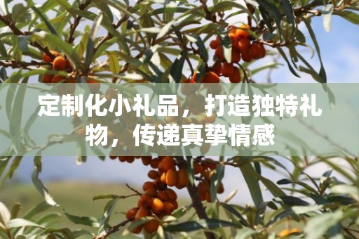 定制化小礼品，打造独特礼物，传递真挚情感