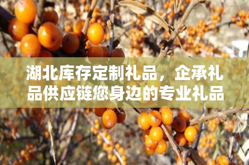 湖北库存定制礼品，企承礼品供应链您身边的专业礼品定制公司